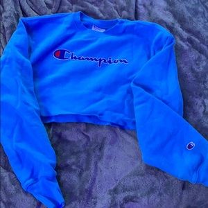 NWOT cropped champion sweatshirt